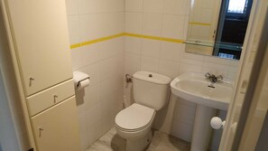 Secadora de cabello, toallas, jabón, papel de baño 