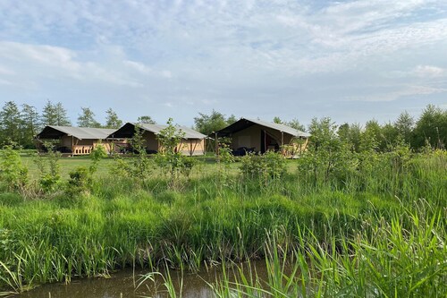 Luxus-Glamping an den friesischen Gewässern