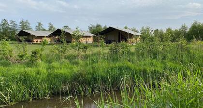 Luxus-Glamping an den friesischen Gewässern