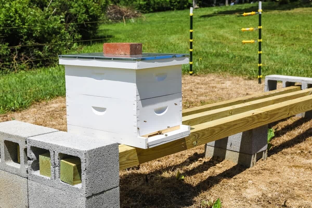 Une ruche posée sur une plateforme en bois, avec un arrière-plan herbeux.