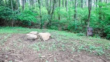 A forested area with a sign indicating a fire pit.