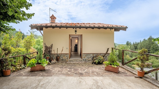 A building with a tiled roof, a stone-paved entrance, and potted plants.