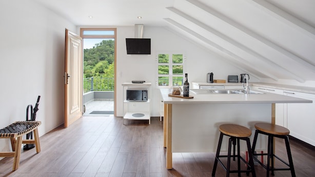 A modern kitchen with a large island, built-in appliances, and a view of greenery.