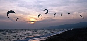 بالقرب من الشاطئ