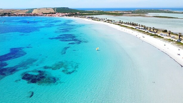 An aerial view of a beach with clear turquoise waters, a sandy shore, and a row of palm trees along the beachfront. - Holiday Home 'Da Flavia' with Private Terrace, Private Garden and Air Conditioning (riola sardo)
