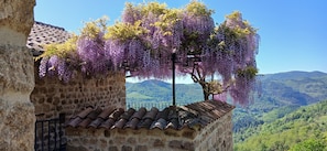 Un bâtiment en pierre avec un toit recouvert de tuiles, un arbre aux fleurs violettes et une vue sur des collines verdoyantes.