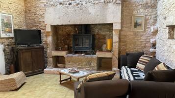 Télévision, cheminée, lecteur de DVD, livres