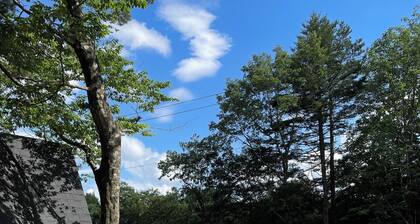 D2 cottage type with private saunajacuzzi / Gujo Gifu