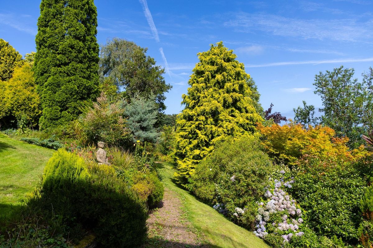 A garden with a variety of trees and shrubs, a clear sky, and a path.