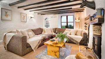 TV, fireplace, offices