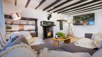 TV, fireplace, offices