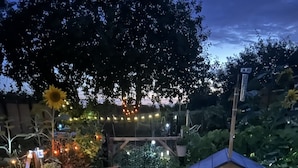 A garden with a small shed, a hanging plant, and string lights. - La Teranga du Saulchoix (Clairy-Saulchoix)