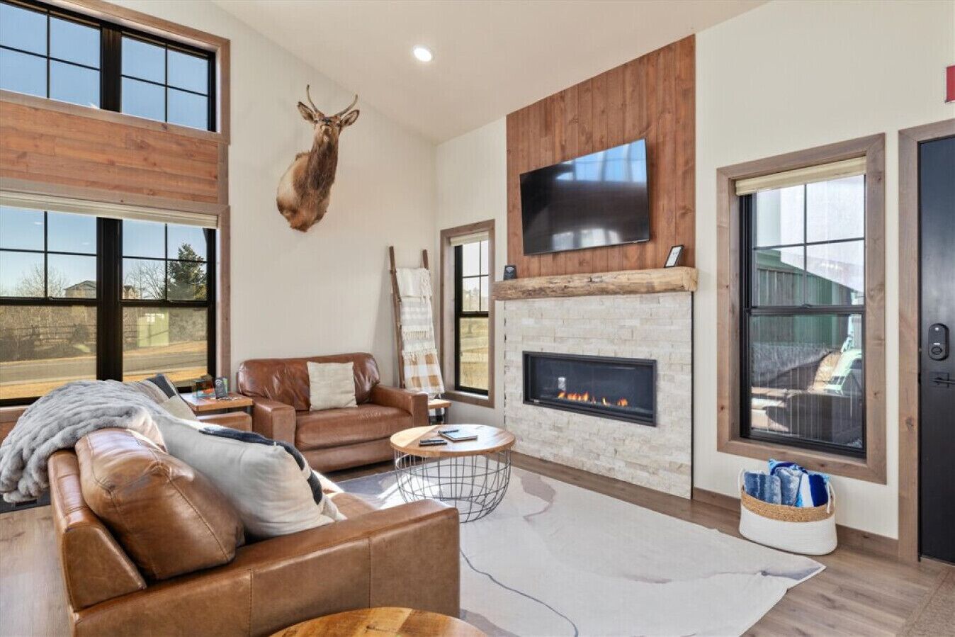 TV, fireplace