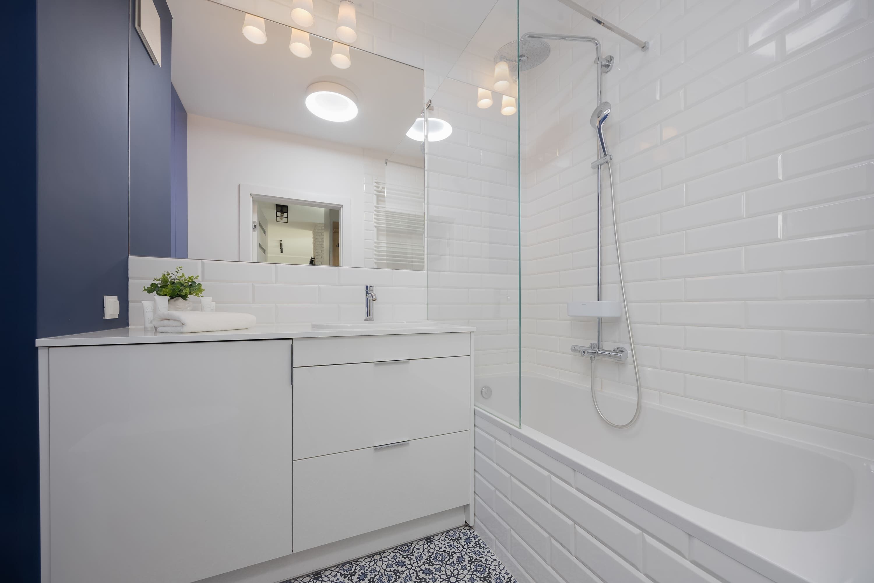 Bathtub, hair dryer, shampoo