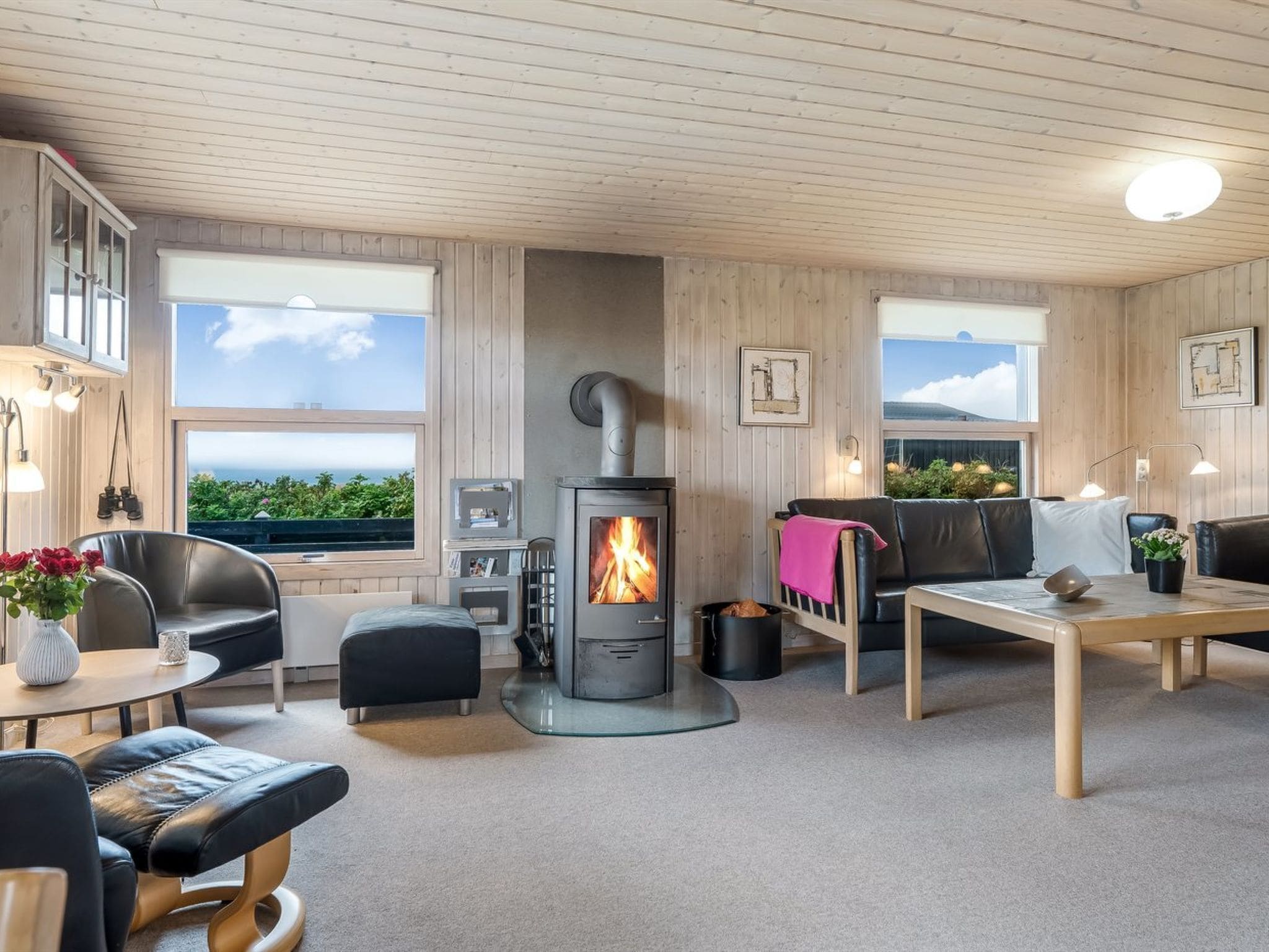 Télévision, cheminée