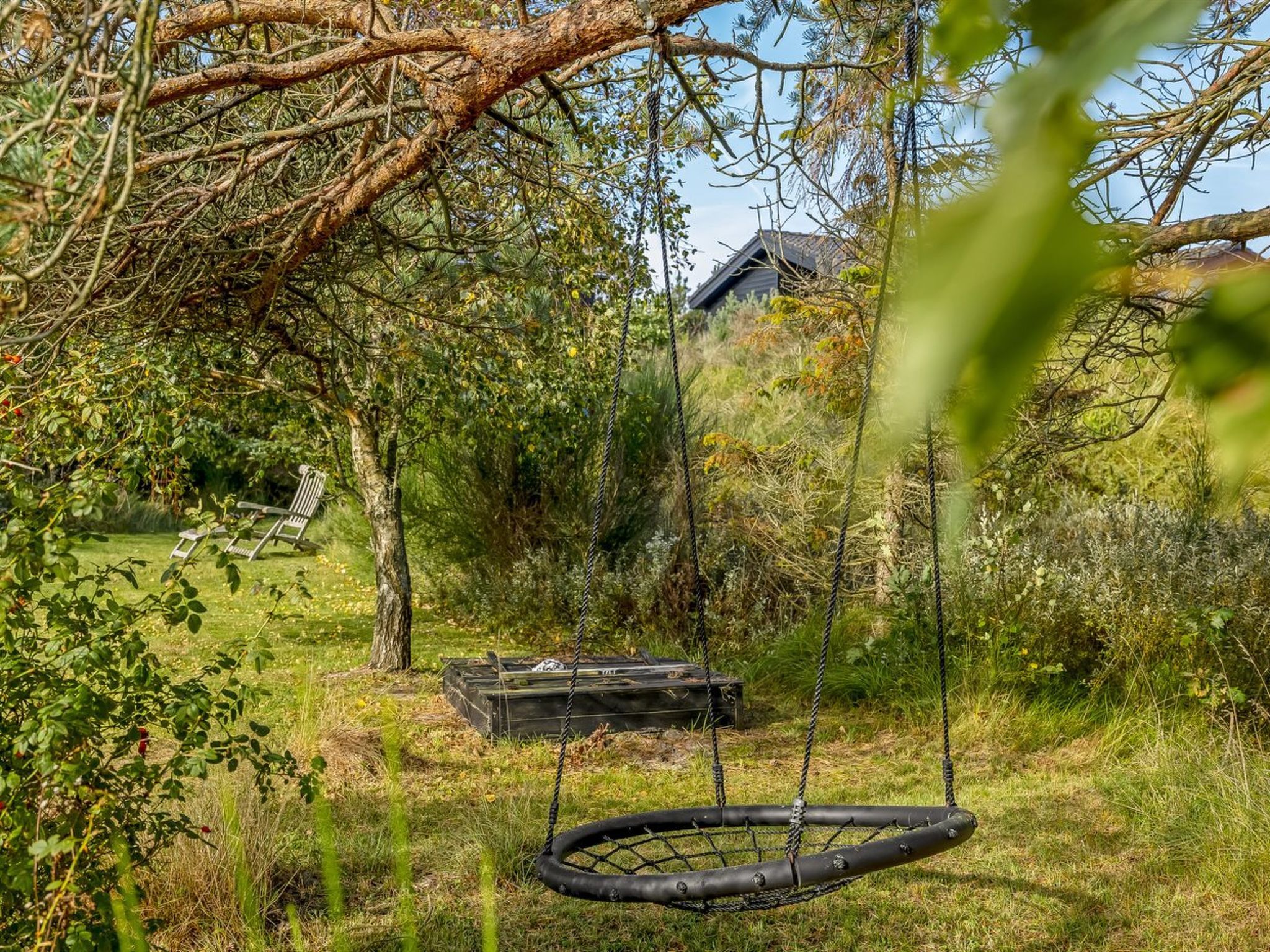 Un jardin avec une balançoire, un banc et une maison en arrière-plan.