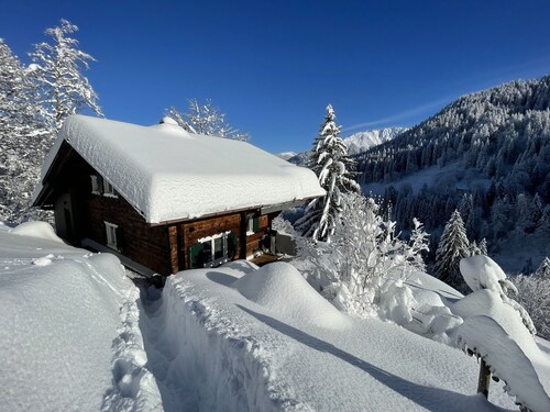 Holiday home  apartment Chalet Almhütte Hütte holiday hut Landhaus Schihütte