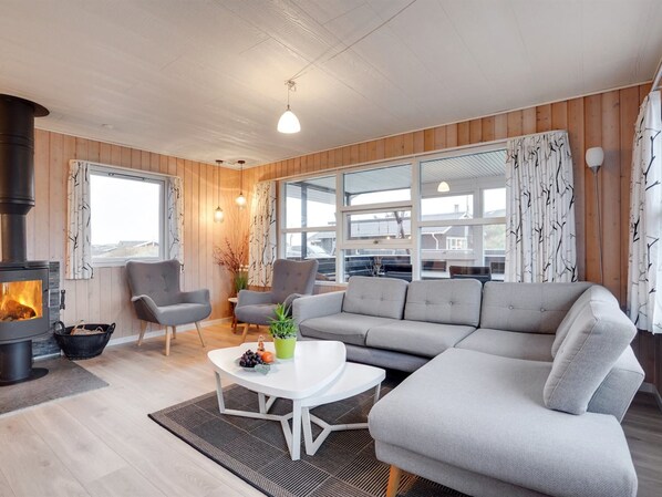 Televisión, chimenea y reproductor de DVD 