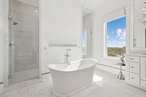 Combined shower/bathtub, hair dryer, towels