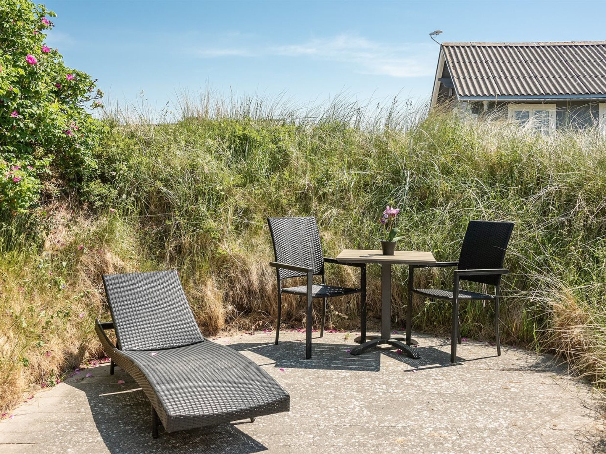 Un patio con dos sillones de descanso y una mesa, rodeado de hierba alta y una casa al fondo.