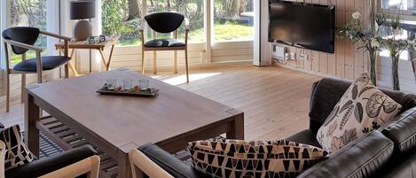 TV, fireplace, DVD player