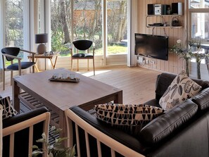 Fernseher, Kamin, DVD-Player