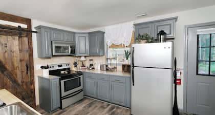 Upscale, pet friendly 3BR w/ game room, fenced-in yard, and high end design!