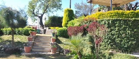 A garden with a stone staircase leading to a covered area, surrounded by various plants and trees.