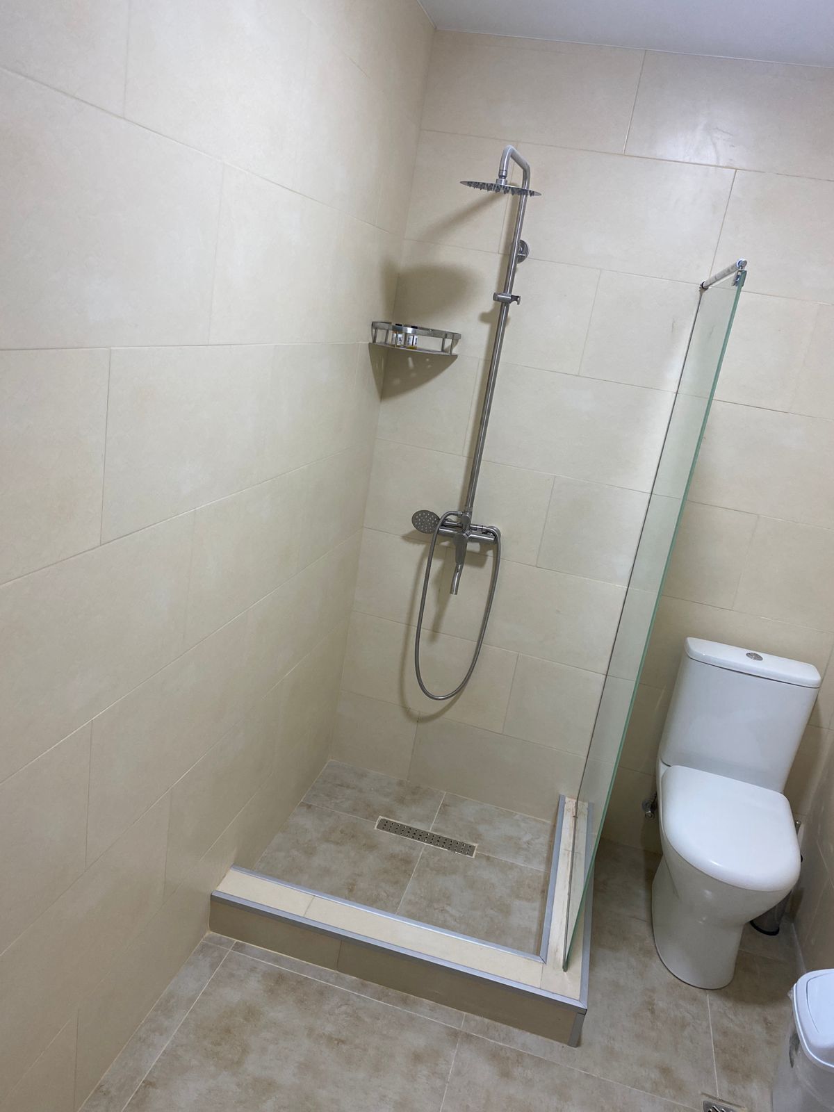 A small, enclosed shower area with a glass door, a toilet, and a metal showerhead.
