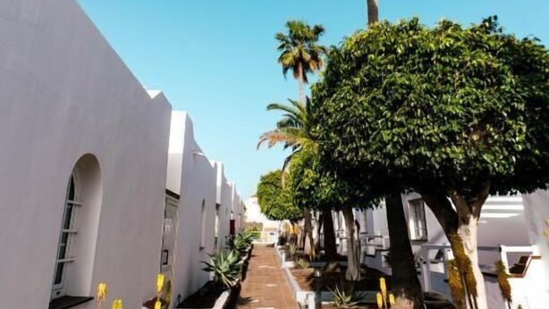 A pathway lined with white buildings and palm trees, leading to a central point. - Las Casitas de Corralejo (La Oliva)