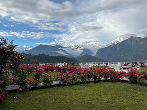 A hotel with a view of snow-capped mountains and a garden with pink flowers. - Buransh Heli Resort (Ukhimath)