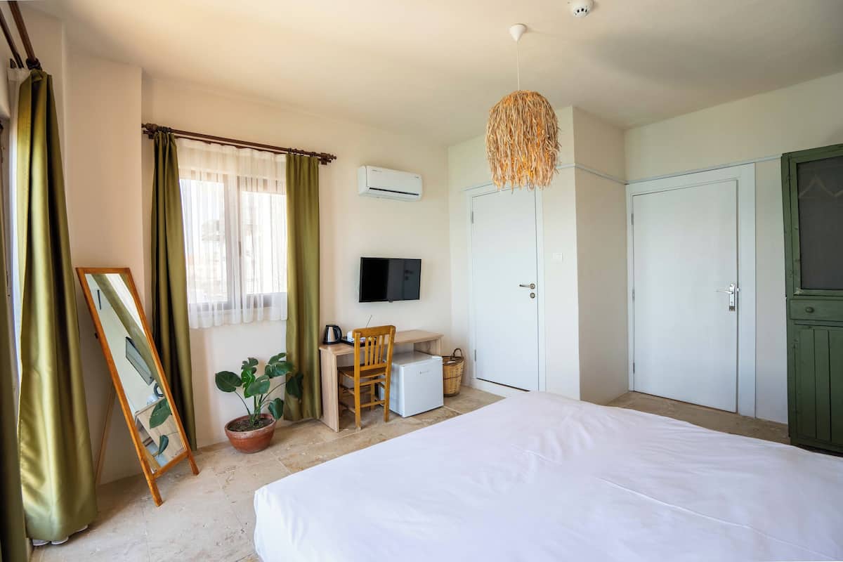 A bedroom with a bed, a desk, a chair, a television, a wardrobe, and a potted plant.