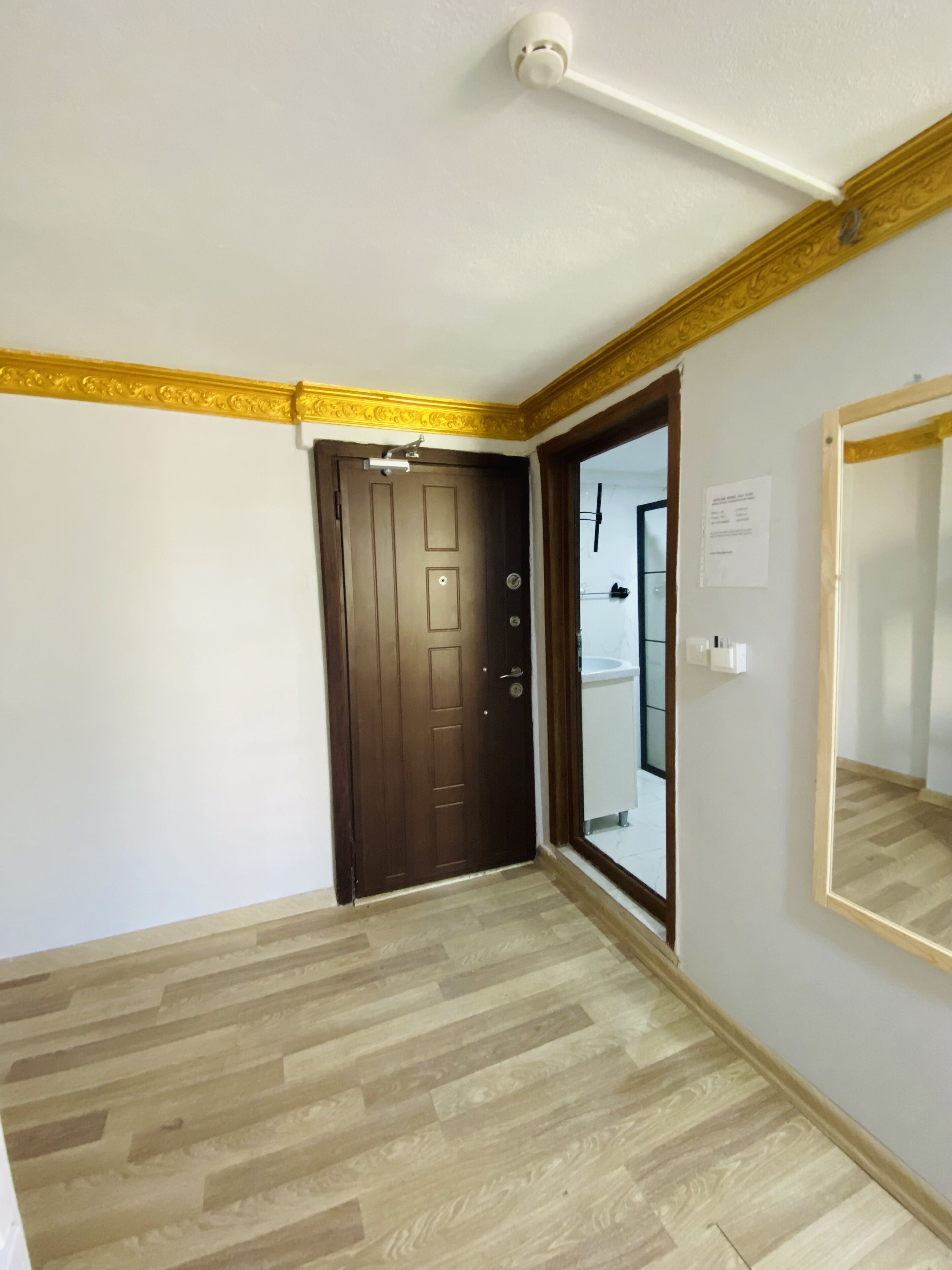 A room with a wooden door, a mirror, and a light fixture on the ceiling.
