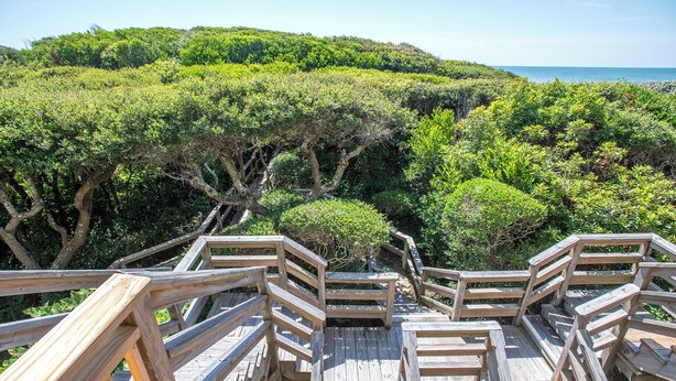 A wooden staircase leading to a viewing platform with a view of a lush green landscape and the ocean.