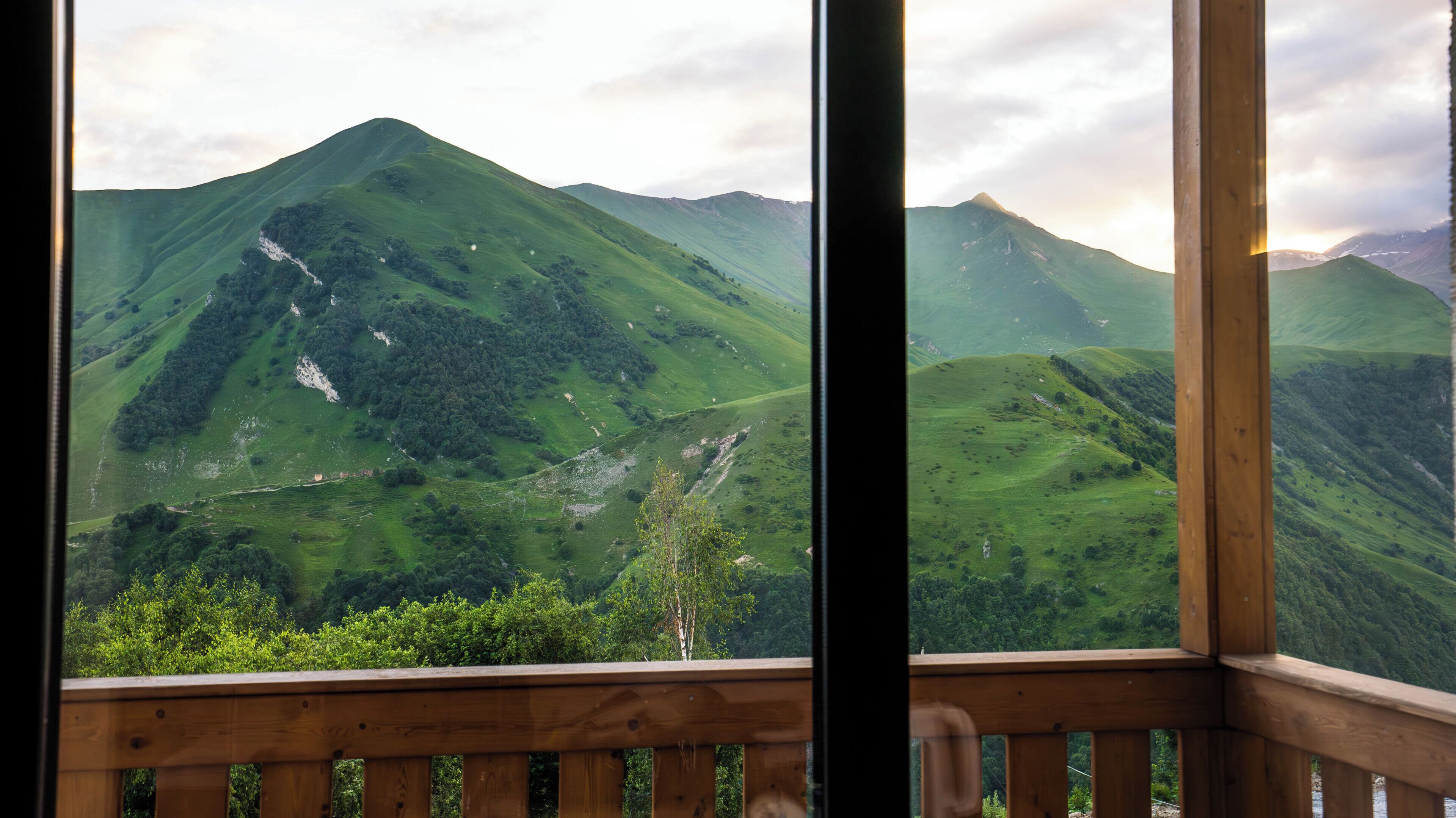 Suite | View from room