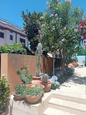 Terrein van de accommodatie