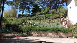 Property grounds - The Cypress (Castiglion Ubertini)