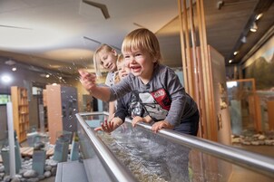 Actividades para niños