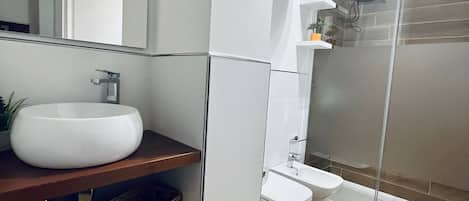 Shower, hair dryer, bidet, towels