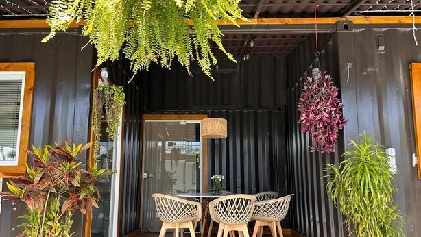 An outdoor seating area with a wooden table and chairs, surrounded by potted plants and hanging ferns. - Villela Stay - Villa Kubitschek - Country house Lago Sul Brasília-DF (Lago Sul)