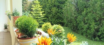 Cosy apartment in the centre of Szekesfehervar with beautiful green garden.
