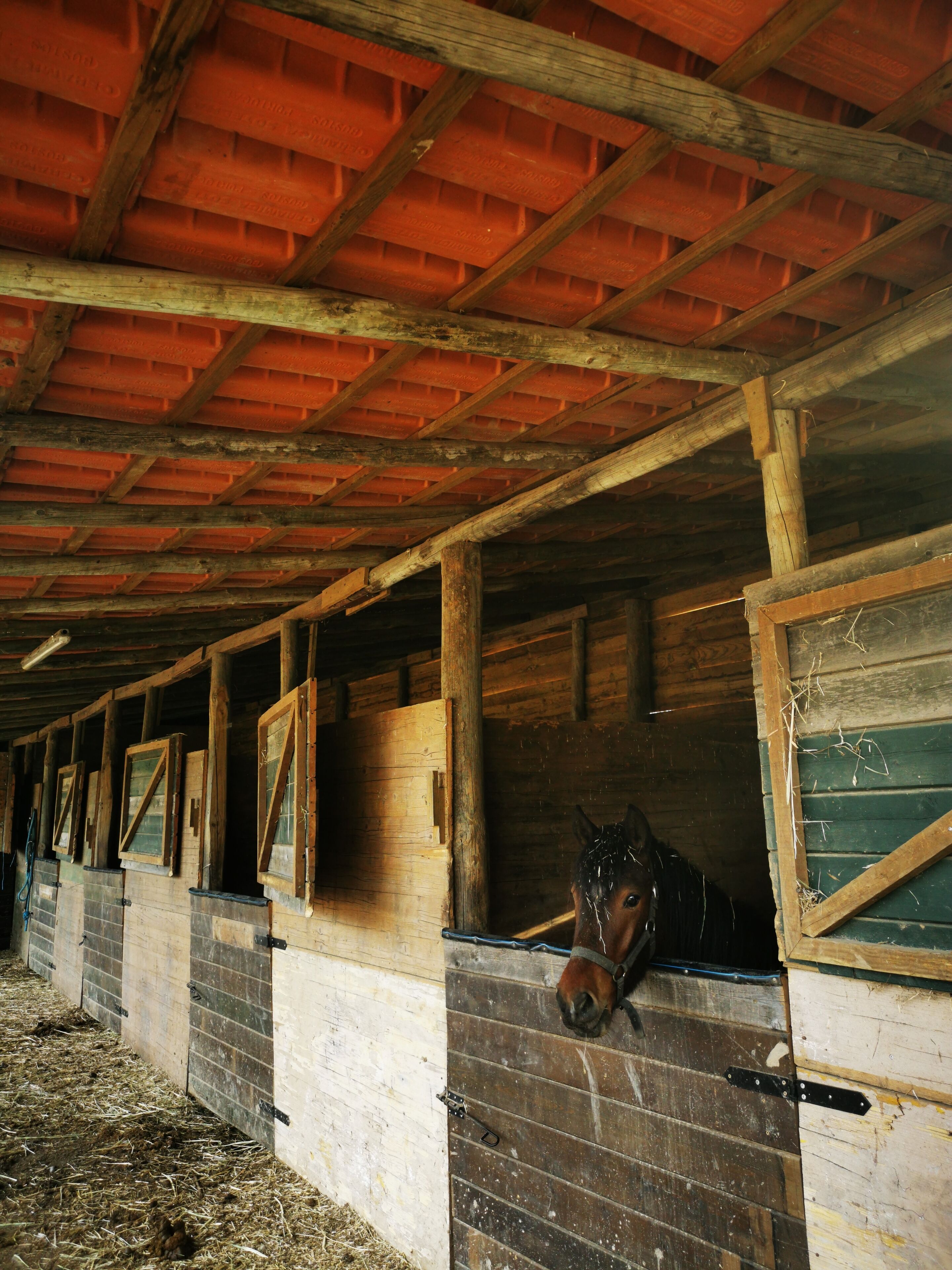 Photo - Quinta do Louredo - Évora