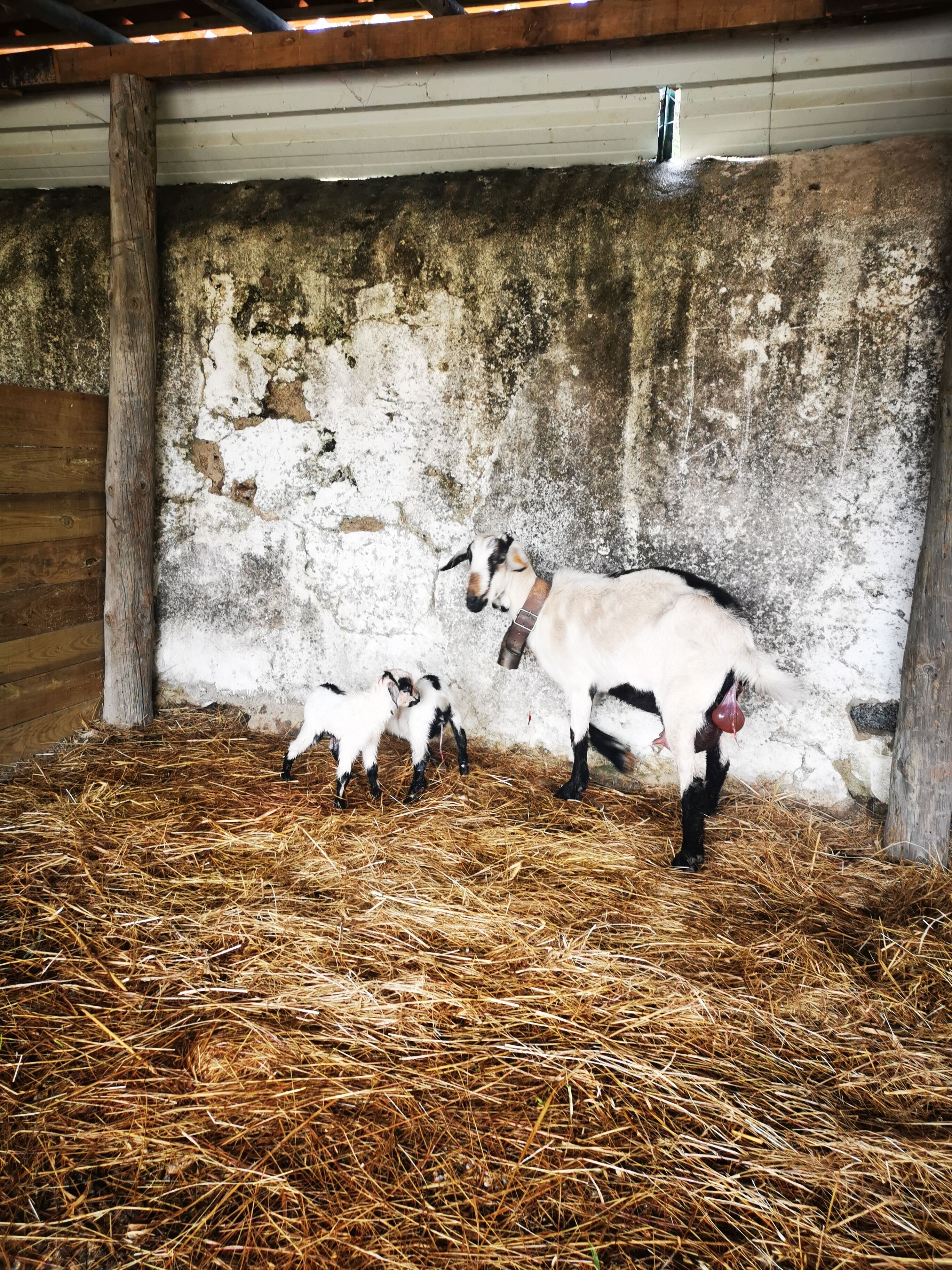 Photo - Quinta do Louredo - Évora