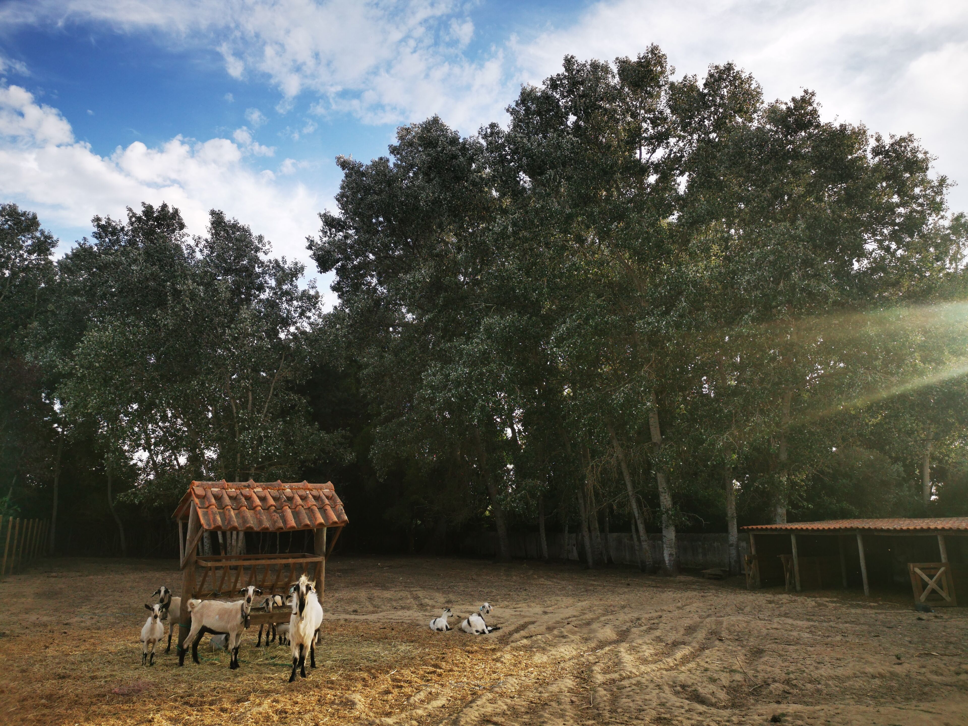 Photo - Quinta do Louredo - Évora