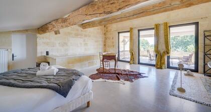 Le Castel de Castillon - Maison d'exception à 10 minutes de Saint Emilion