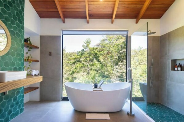 Hair dryer, towels, soap, shampoo