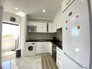 Fridge, microwave, oven, coffee/tea maker