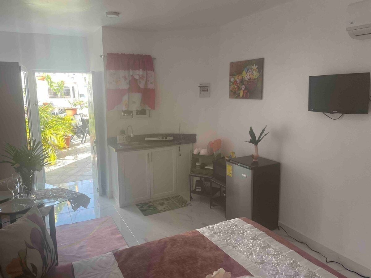 A compact living space with a kitchenette, a dining area, and a TV.