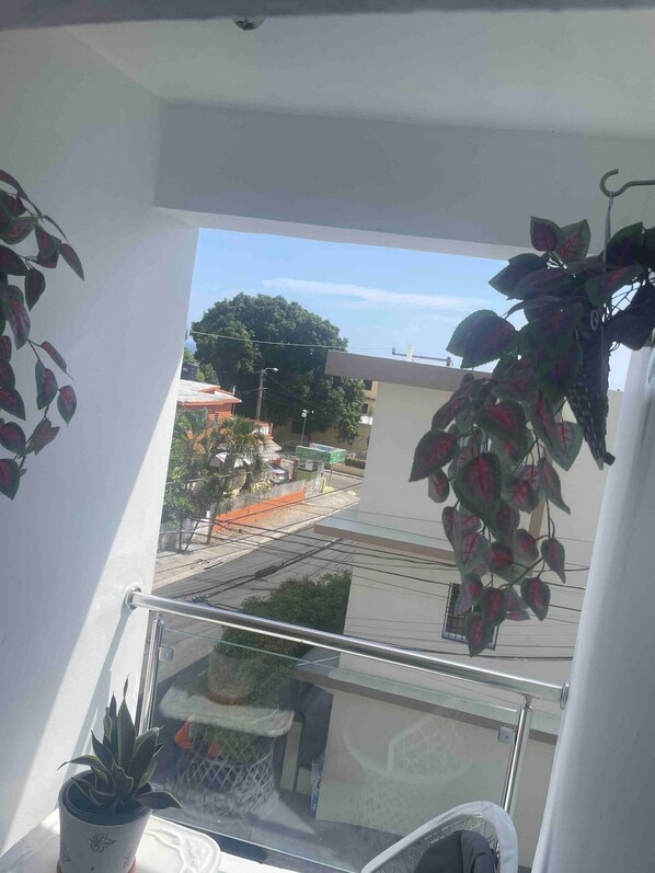 Un balcón con vista a una calle, una planta en maceta y otra colgante.