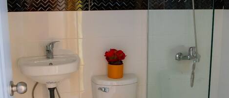 Combined shower/tub, hydromassage showerhead, free toiletries